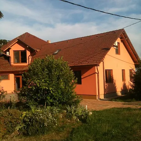 Kancsal Harcsa Halaszcsarda
